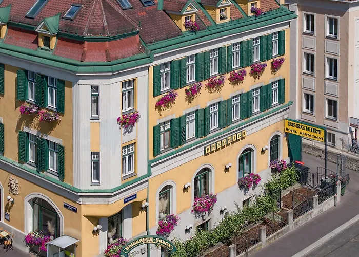 Bergwirt SchönbrunnHotel Wien
